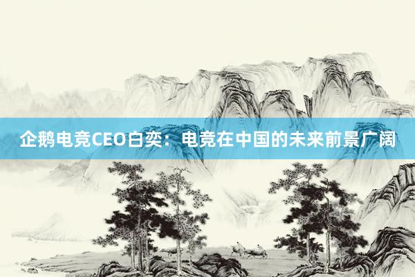 企鹅电竞CEO白奕：电竞在中国的未来前景广阔